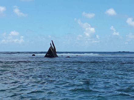 Hello_Mauritius_Discovering_Blue_Bay_Shipwreck