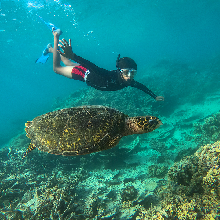 Snorkel Excursion with Hello Mauritius